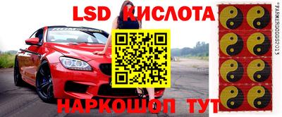 прущие грибы Кинель