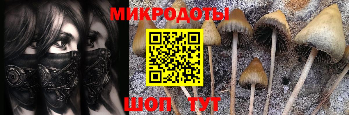 Псилоцибиновые грибы мухоморы  Вход с VPN  Кстово  Псилоцибиновые грибы мицелий 